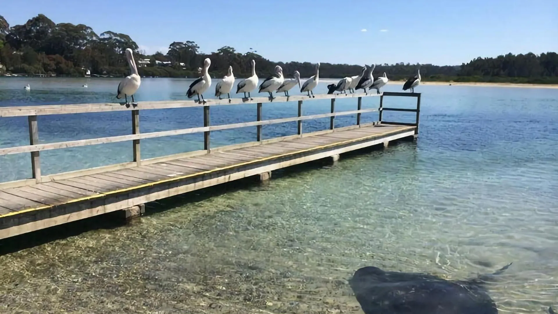 Beachfront Bliss Broulee Australia